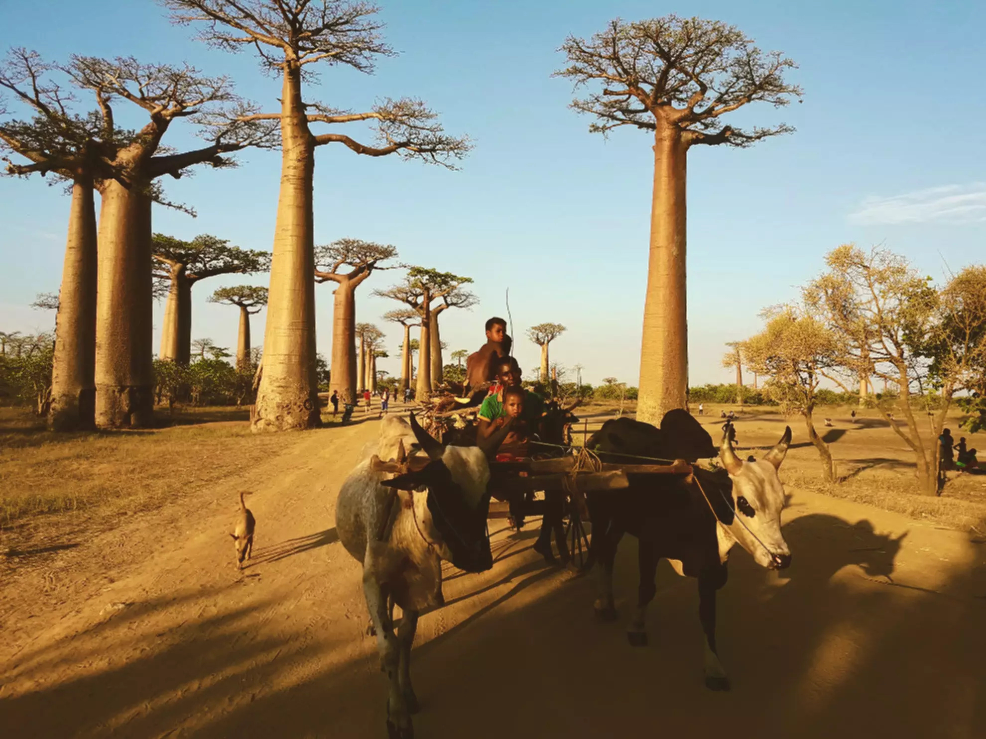 road trip moto madagascar