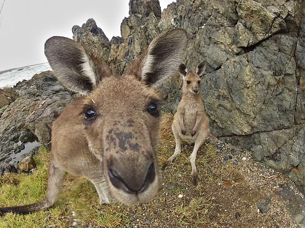 road trip moto australie