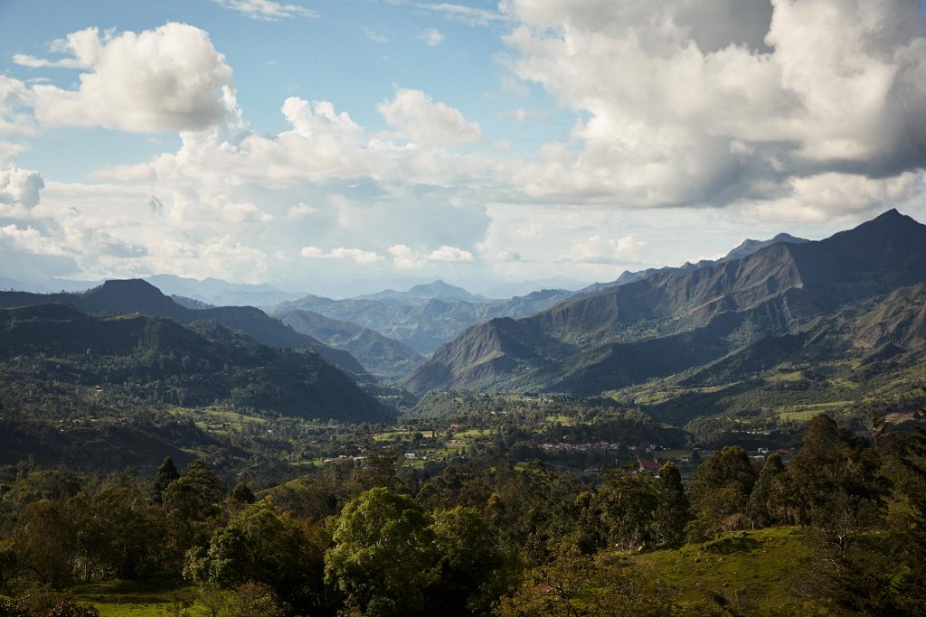 hauts plateaux de Bogota